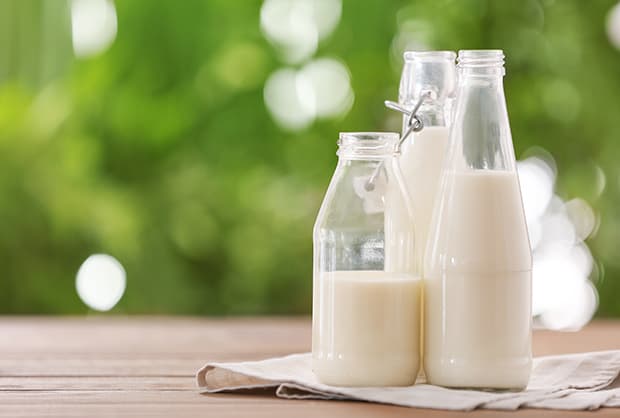 A glimpse into the intersection of dairy farms and the bottle industry, highlighting sustainable practices