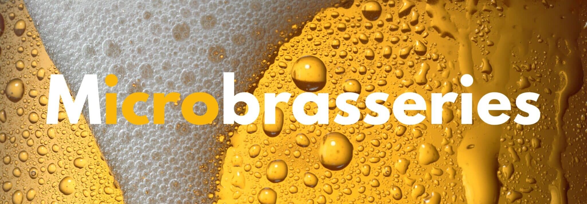 Lave-bouteilles pour les microbrasserie