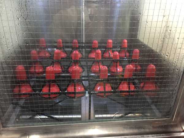 machine lavage de tétines pour les jeunes animaux