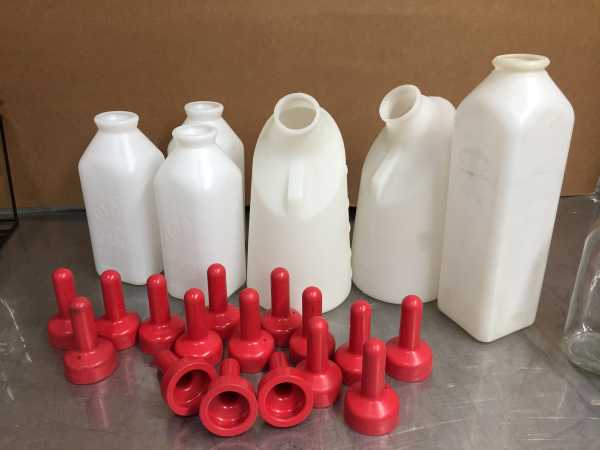 tetine avec bouteille de lait pour nourrir les veau et agneau