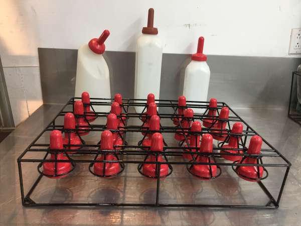 lave tetetine rouge pour veau ou bebe agneau